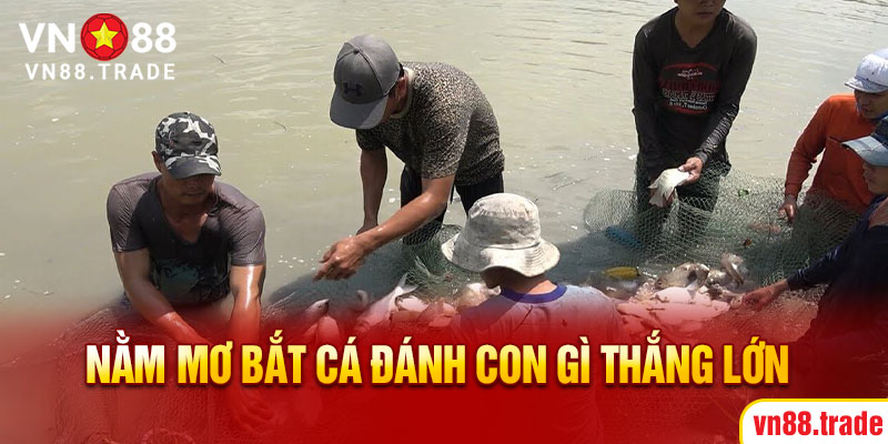 Nằm mơ thấy cá đánh con gì thắng lớn