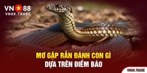 Mơ gặp rắn đánh con gì dựa trên điềm báo