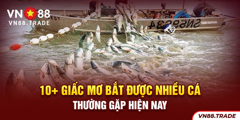 10 giấc mơ bắt được nhiều cá thường được gặp hiện nay